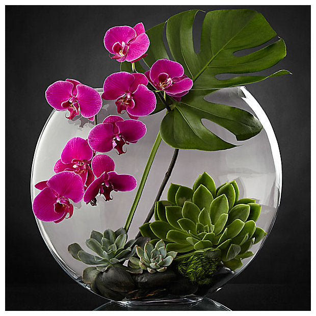 Diamond Painting Orchidee
